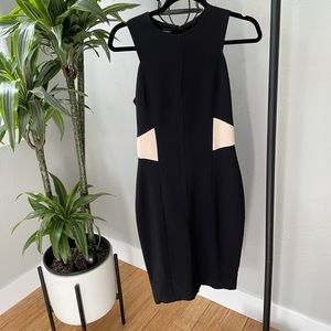 Narcisco Rodriguez little black dress